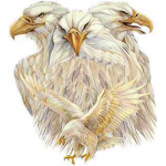 White Eagles