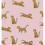 ALOHAXSOHP
