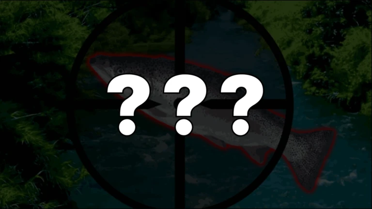 DIFFICULTY MODES