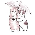 CatsAreVeryCute