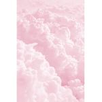 Lovely Lovely Aesthetics
