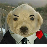 NgaiChip's Child