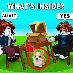What's Inside