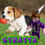 Stratta Fan Group
