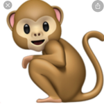 Monkeys are the best animal