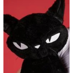 Sabrina cat