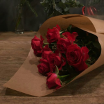 graceful roses