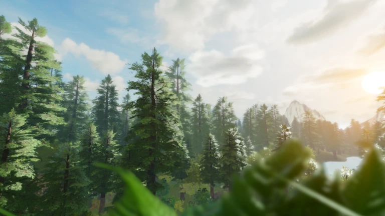 Roblox - Realistic Forest Demo