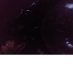 The shadow demons group