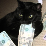 ninelives