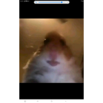 HaMPlayer