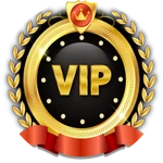 V.I.P