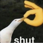 Studios UwU
