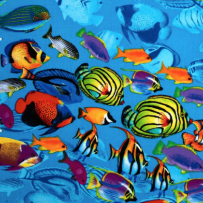 School of Fish Roblox decal