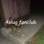 4slug game fanclub