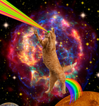 Space cats.official