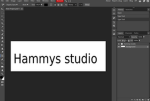 Hammy's Studio