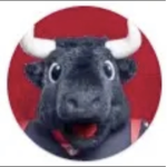 Texans TORO group