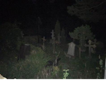 Grave stons