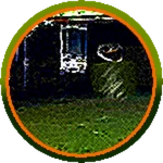 Mallrat Roblox badge thumbnail