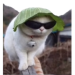 NotJkiller