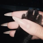 softclaws Group Thumbnail
