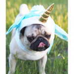 Lola unicorn squad #youtuber