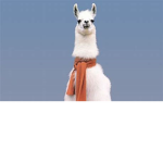 MAYA LLAMA <3