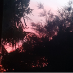 ~Aesthetic Kxrma~