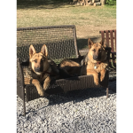 The couch sisters