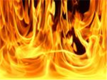 Elite Fire Clan