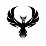~The Dark Phoenix~