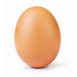 EGG(Make this the most visited game)