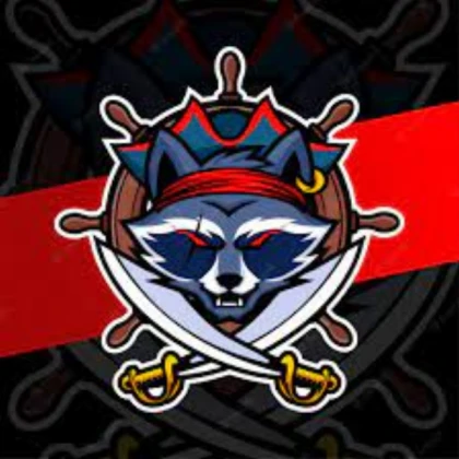 Pirate Raccoon
