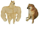### SIU XD