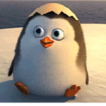 Mrs.Penguins Polar