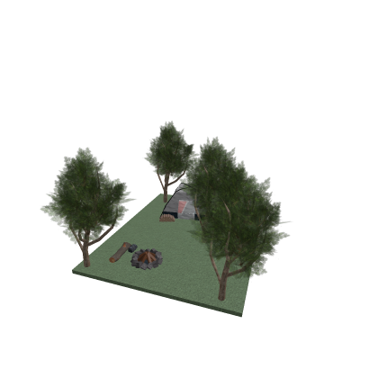 Camping