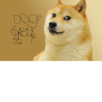 Doge super group fan club