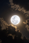•~Moonlight~•