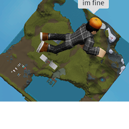 Ragdoll playground