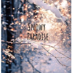+.SnowyParadise.+