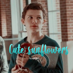 Cute Sunflowers