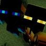 #TeamEnderman