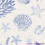 Oceans Seashells