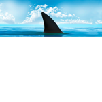 Sharky squad yt