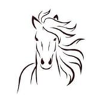 Broad Meadows Riding Team