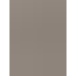Grey Guards