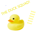 THE EPIC DUCK SQUAD!!!!!