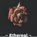 Ethereal Studios Group