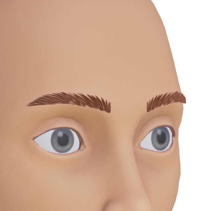 Natural Male Eyebrows Brown